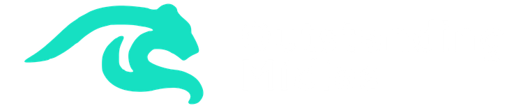 Outstanding Mídias